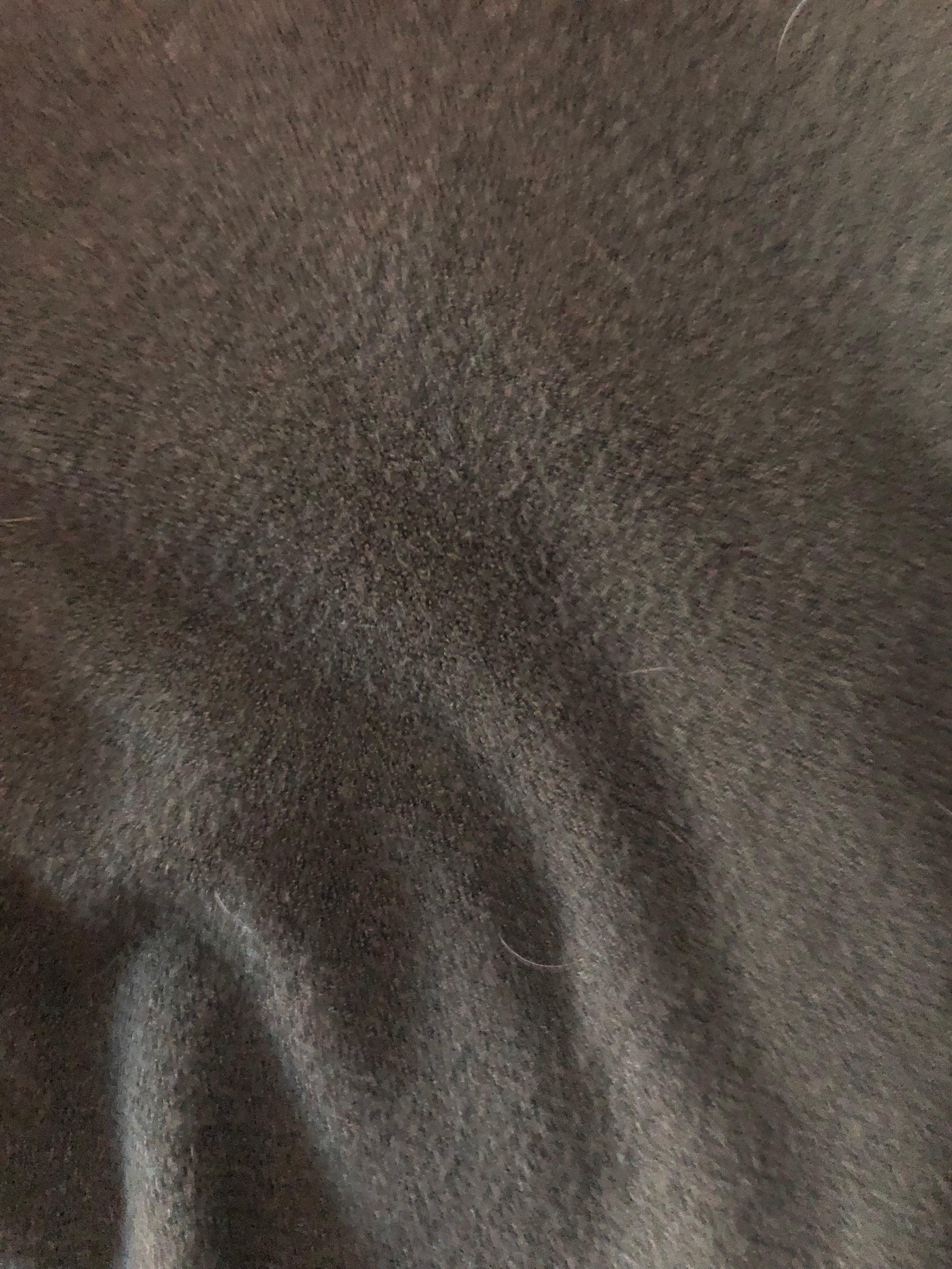 Pull 100% laine femme – Coupe fluide & élégante – kaki