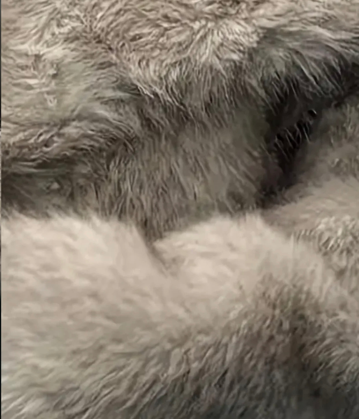 Manteau Diva effet fourrure